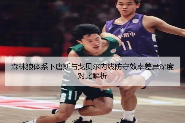 森林狼体系下唐斯与戈贝尔内线防守效率差异深度对比解析