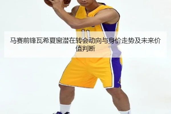 马赛前锋瓦希夏窗潜在转会动向与身价走势及未来价值判断